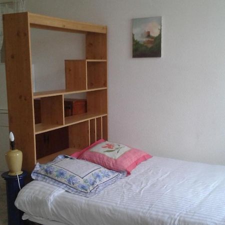 Le Sultan Du Theron 3Em Etage Apartamento Le Puy-en-Velay Exterior foto