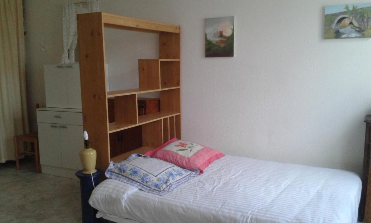 Le Sultan Du Theron 3Em Etage Apartamento Le Puy-en-Velay Exterior foto